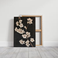 Cherry Blossoms in the Dark