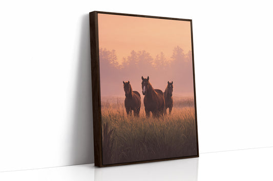 Guardians of the Golden Meadow