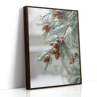 Frosted Pines Hold Their Secrets