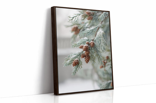Frosted Pines Hold Their Secrets
