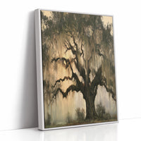 Live Oak Draped in Moss