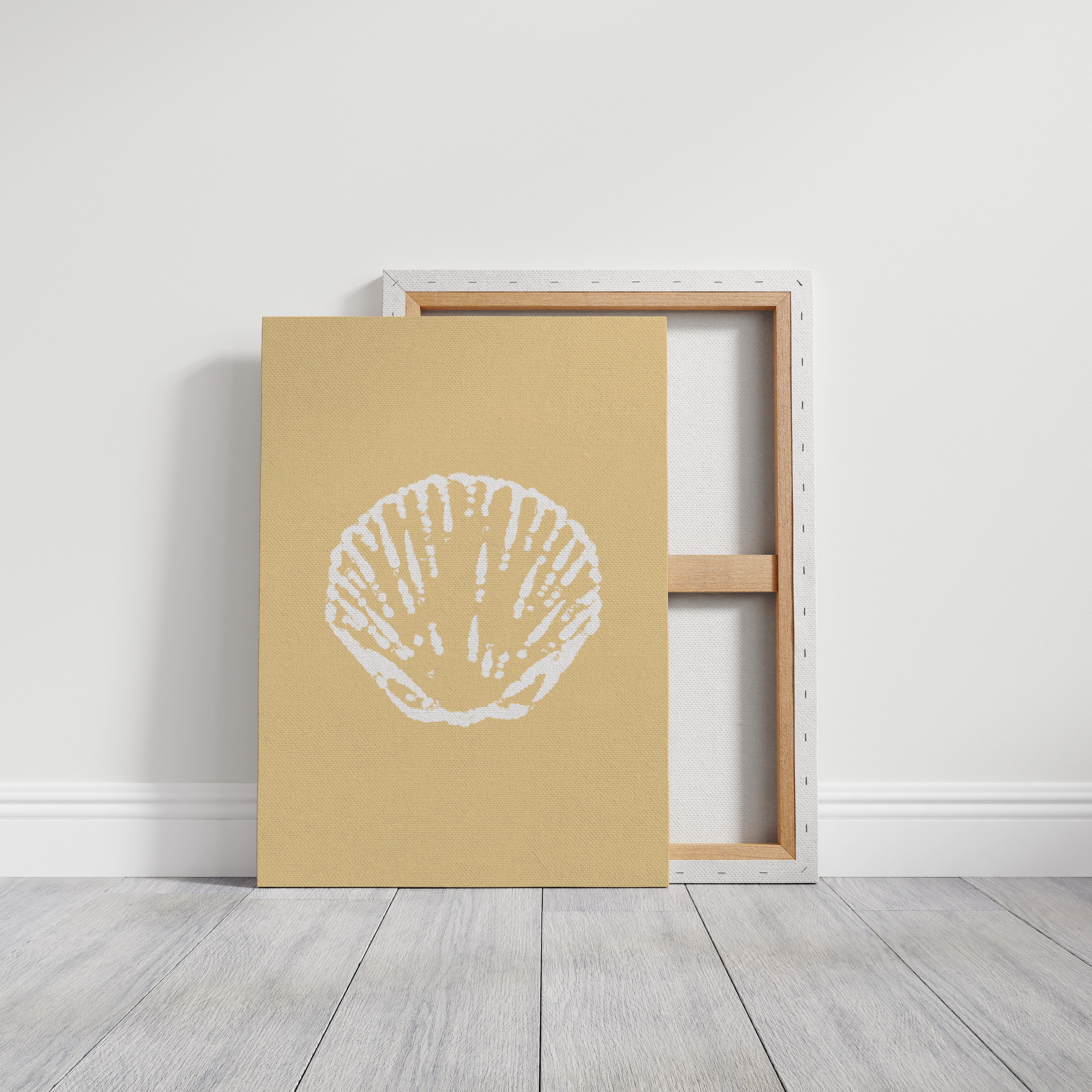Seashells Remember Their Sandy Home