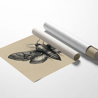 Vintage Moth Among Literary Spines