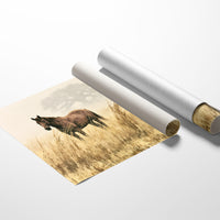 Bay Horse in the Golden Field