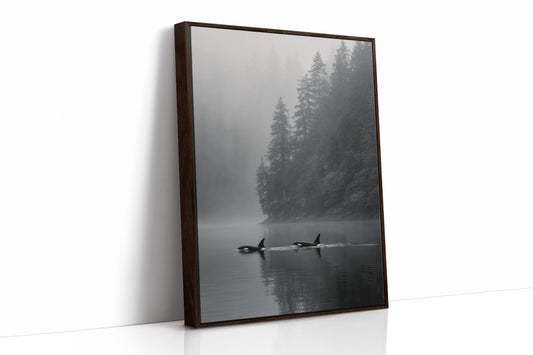 Silent Waters, Endless Bonds
