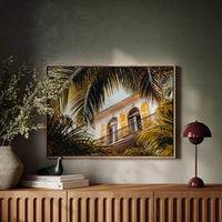 Golden Shutters Behind Palm Veils