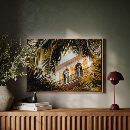 Golden Shutters Behind Palm Veils