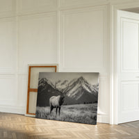 Crown of the Wilderness