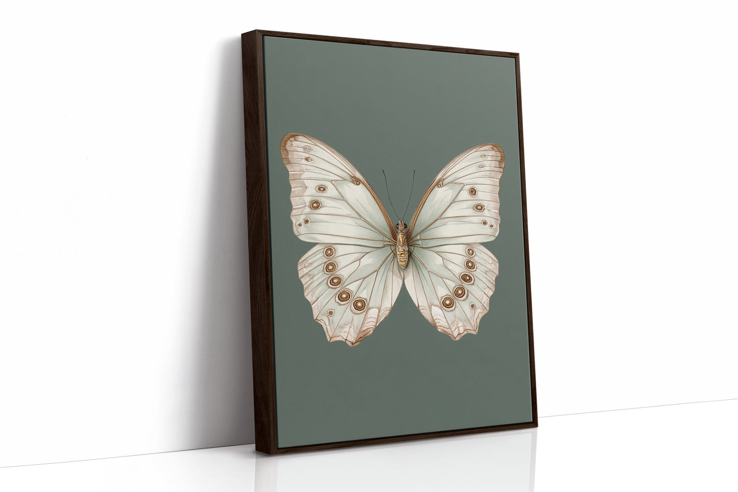 A Dance of Delicate Wings