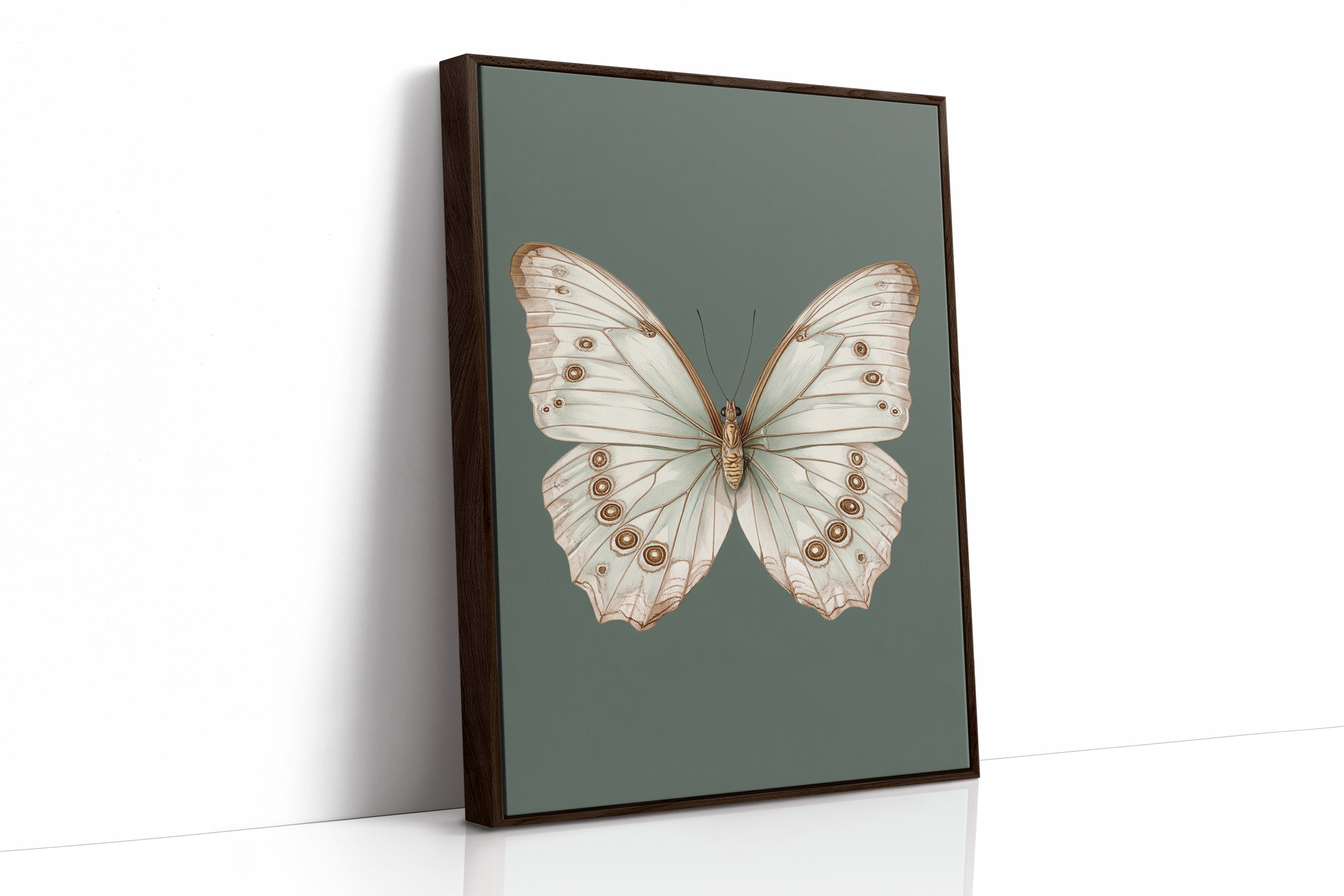 A Dance of Delicate Wings
