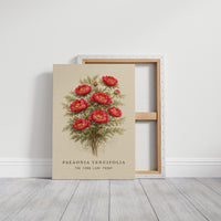 Crimson Nobility: Botanical Heritage Preserved