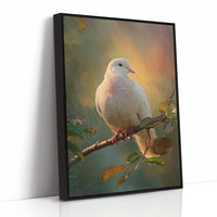 Dove Perches In Golden Hour