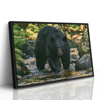 Black Bear at the Water's Edge