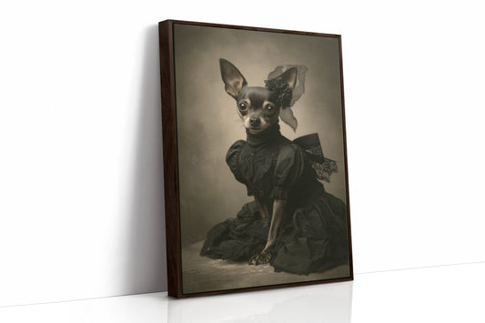 Lady of the Regal Chihuahua