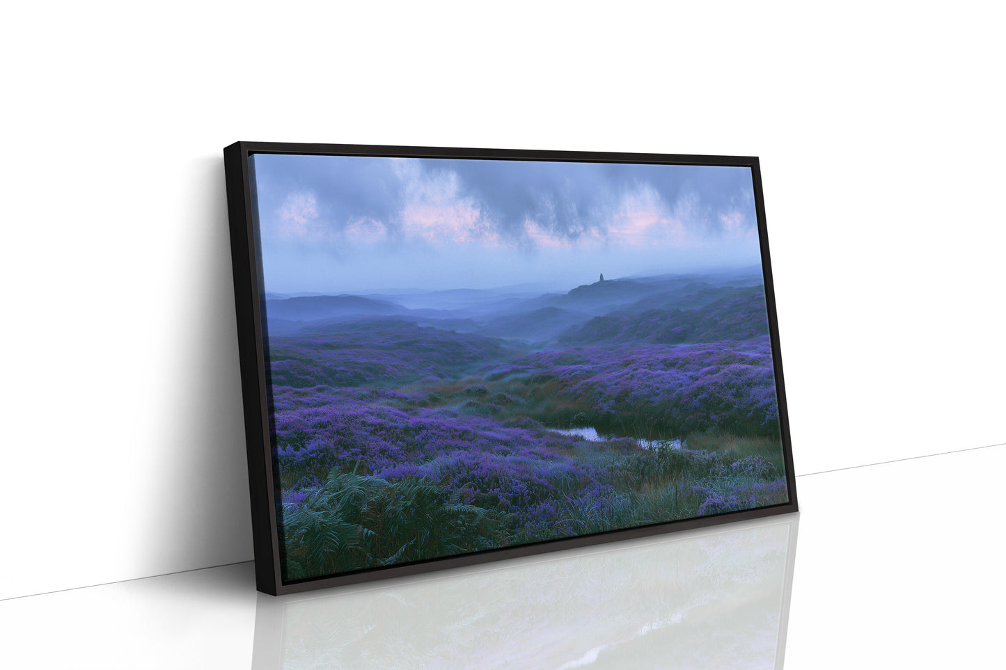 Twilight Falls Over the Heather