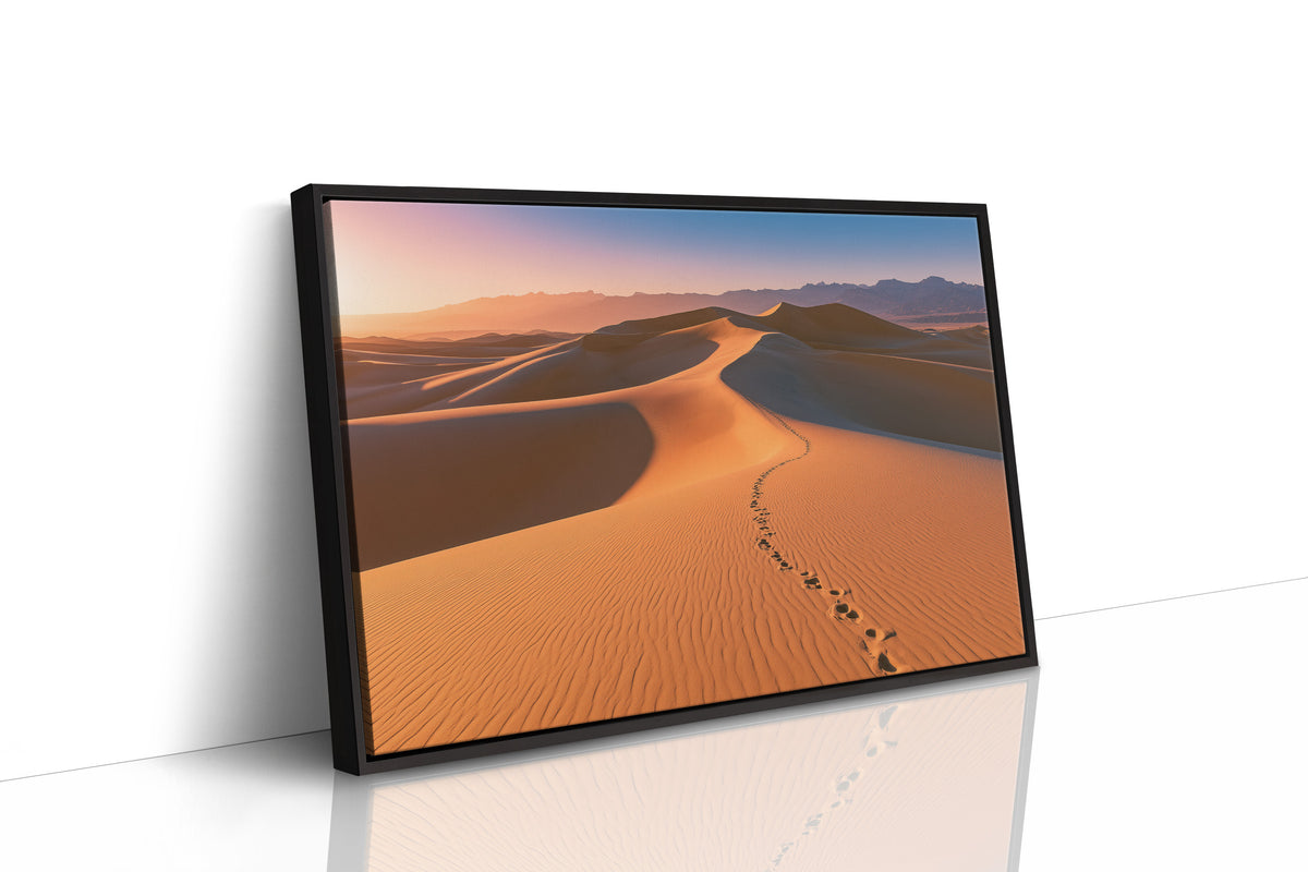 Footprints Over Golden Dunes