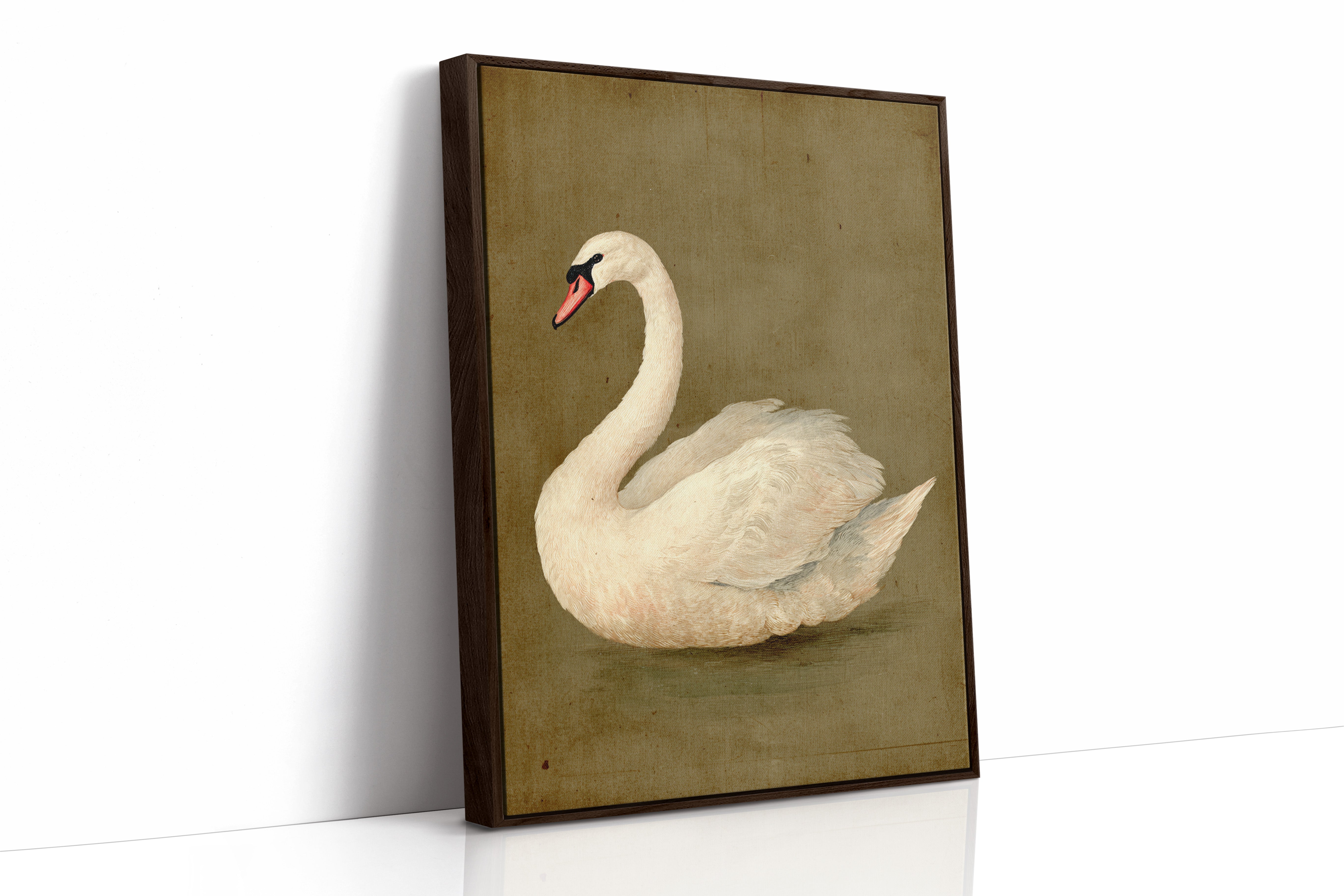 Elegance Stilled in Time