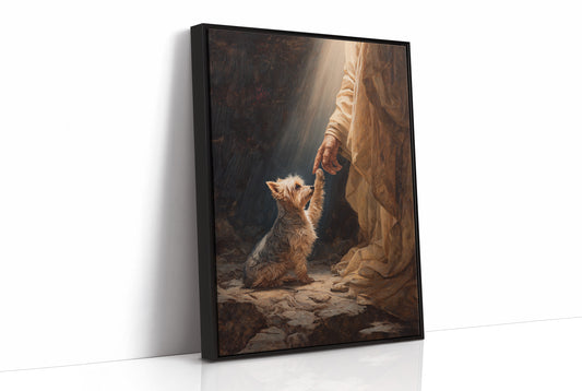 Faithful Companion Reaches For Light
