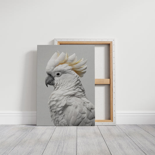Alabaster Majesty: Portrait of a Cockatoo