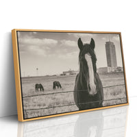Grassland Watch