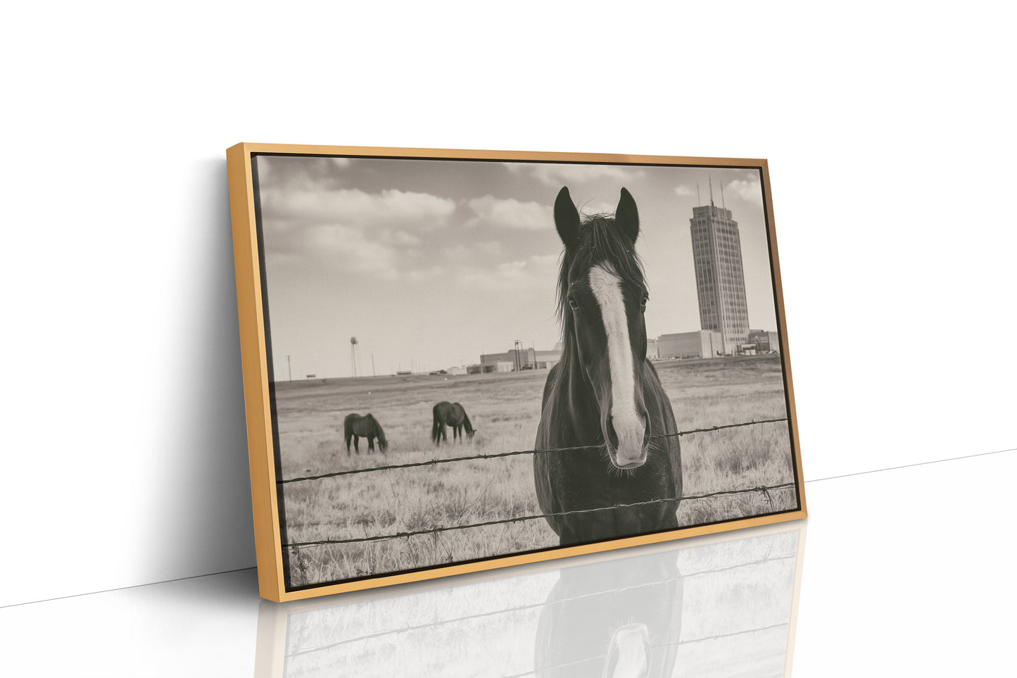 Grassland Watch