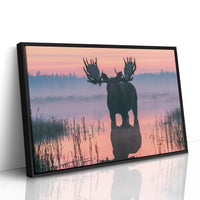 Bull Moose at First Light
