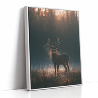 Buck at First Light