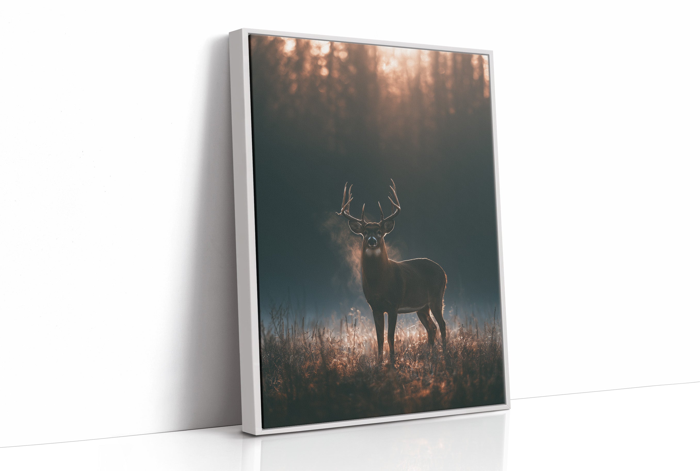 Buck at First Light