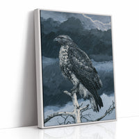 Hawk Weathering the Storm
