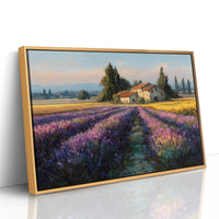 Provence Lavender at Golden Hour