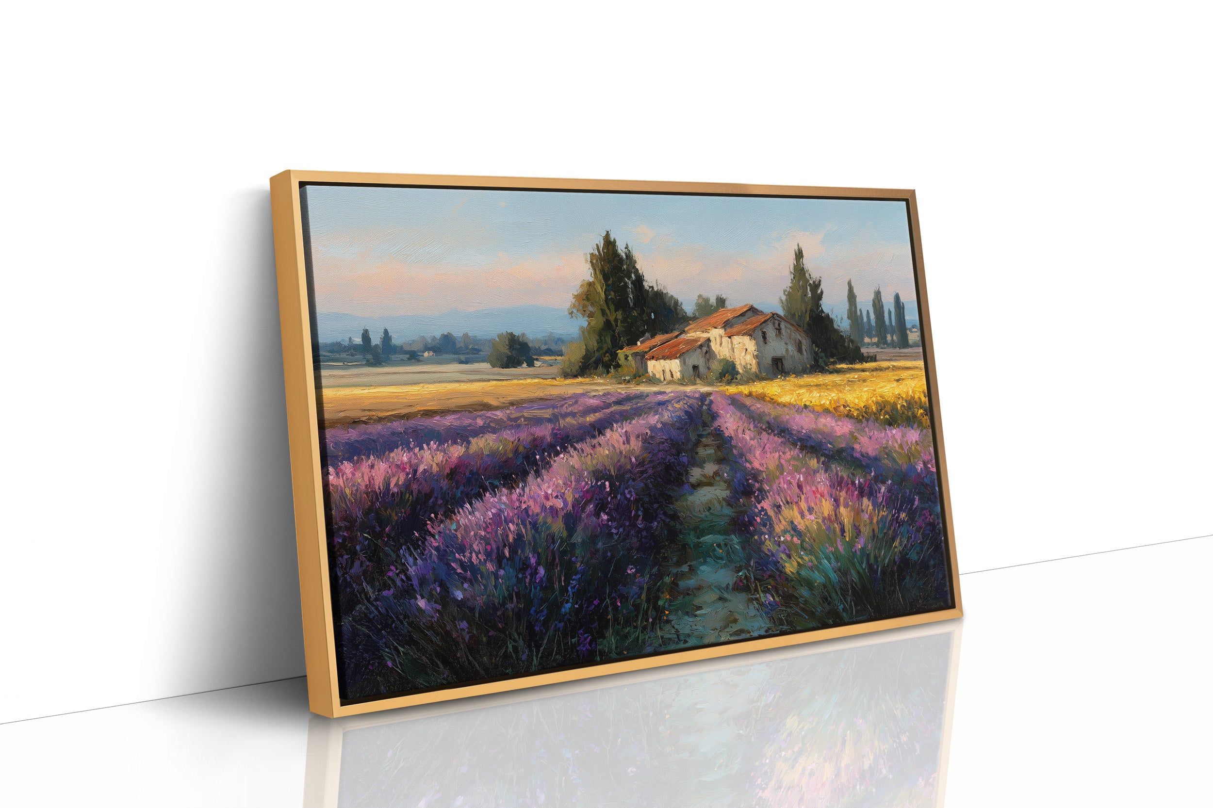 Provence Lavender at Golden Hour