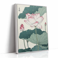 Lotus Blooms Between Library Lines