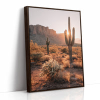 Sunlit Giants in Arid Embrace