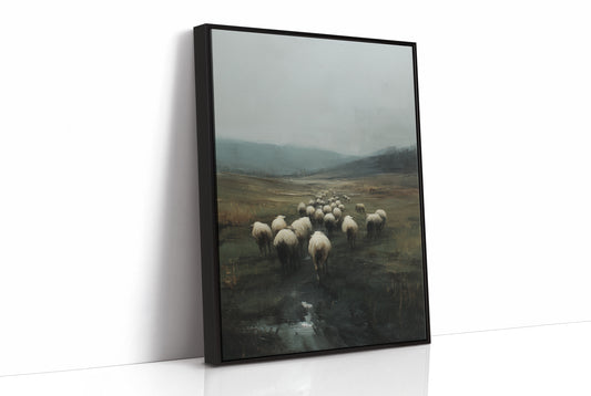 Flock Wanders Through Misty Moors