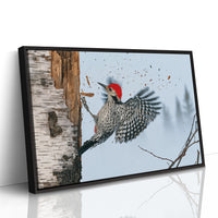 Woodpecker in Mid-Strike