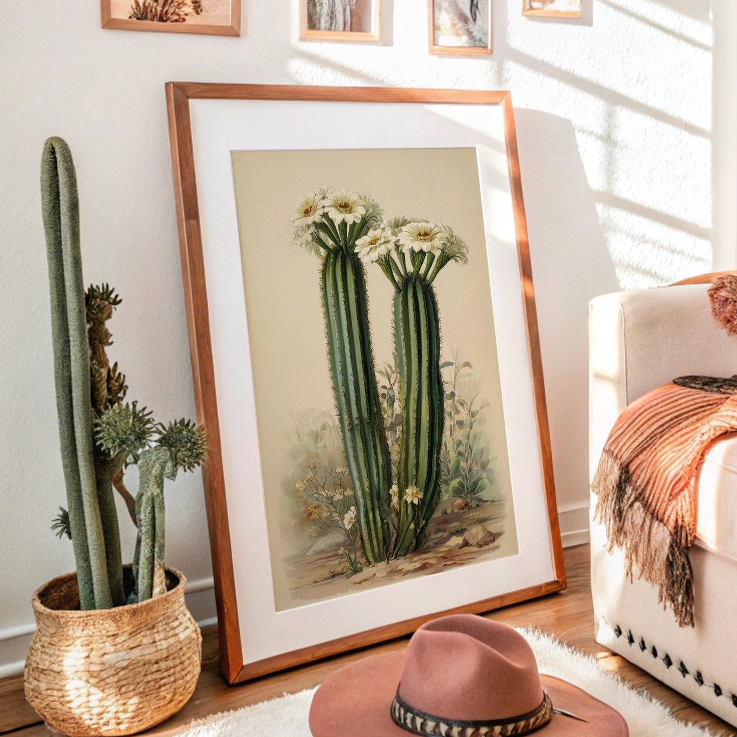 Saguaro Stories Light Desert Memories