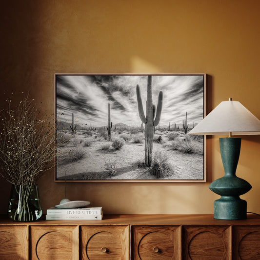 Saguaro Silence in Black and White
