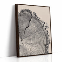 Cross-Section of Time