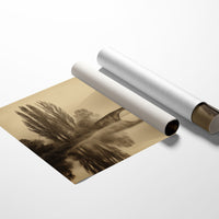 Foggy Bridge Among Tall Poplars