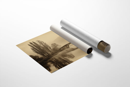 Foggy Bridge Among Tall Poplars