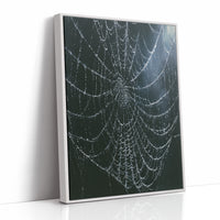 Dew-Kissed Web at Dusk