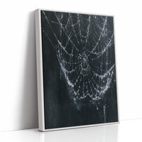 Web in the Dark