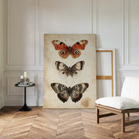 A Tapestry of Winged Wonders