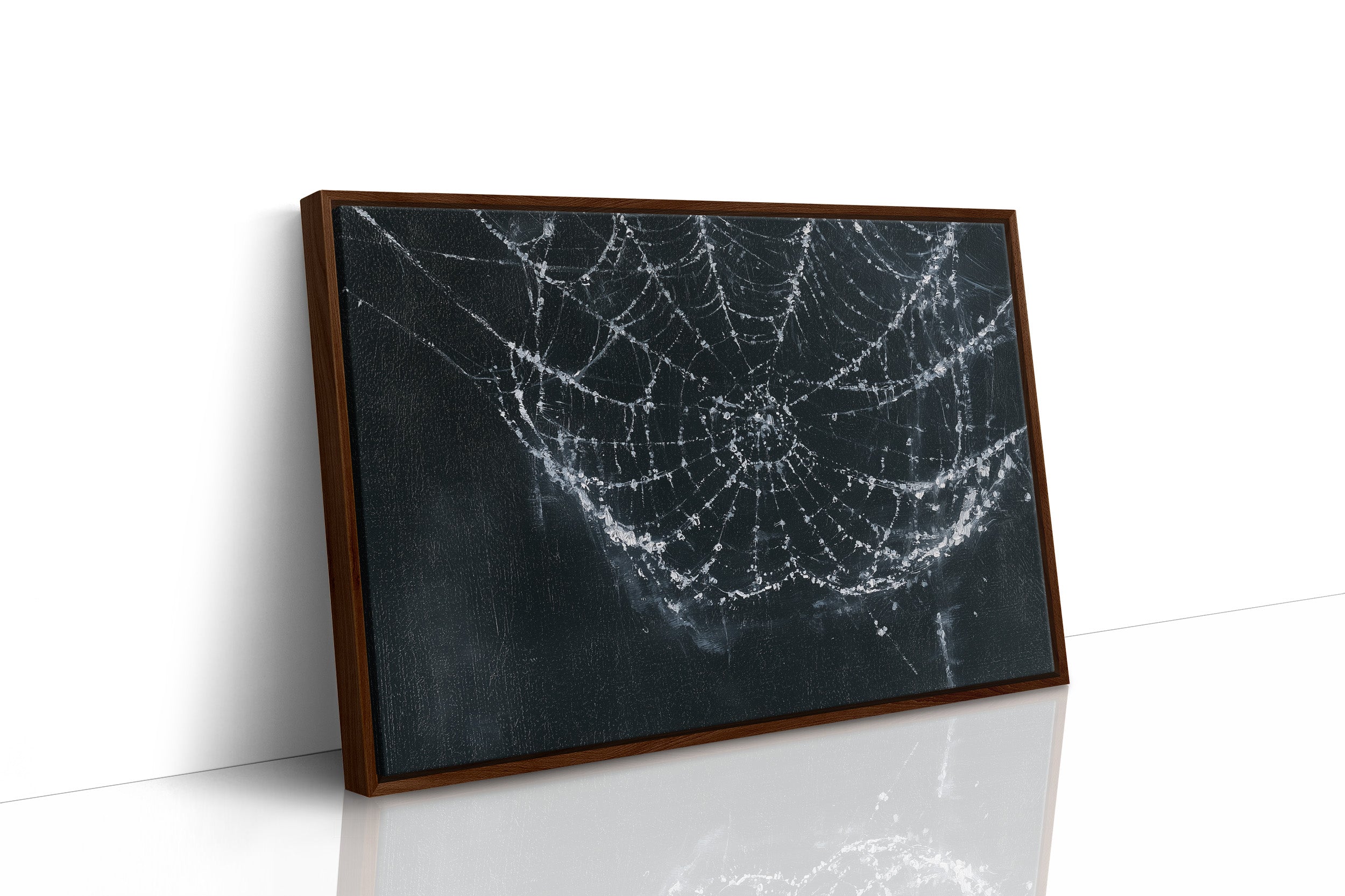 Web in the Shadows