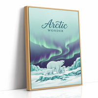 Arctic Wonder: Light Show, Front Row