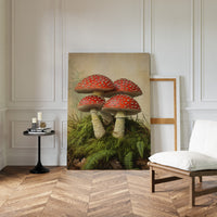 Crimson Mushrooms Emerge
