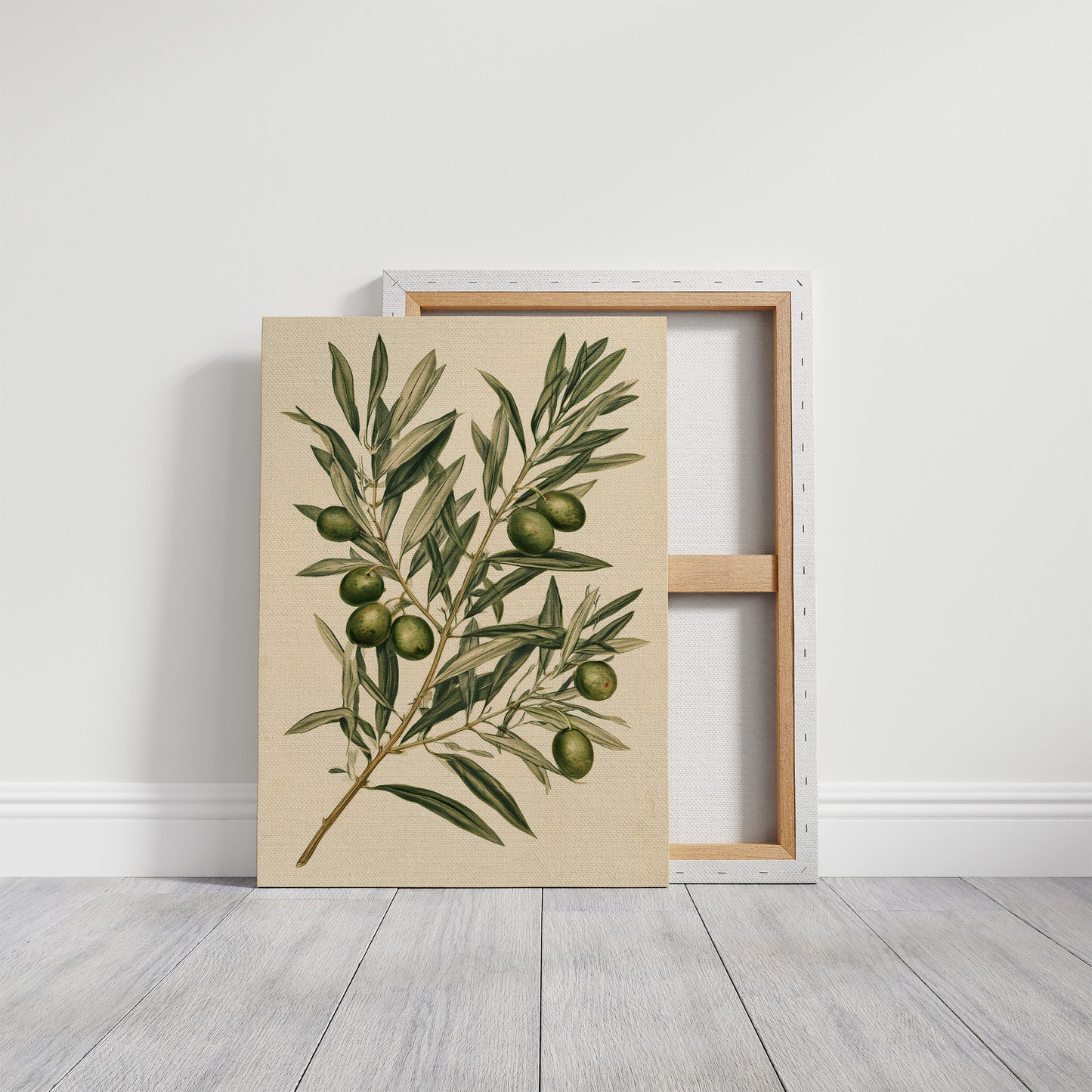 Olive Branch Botanical Study