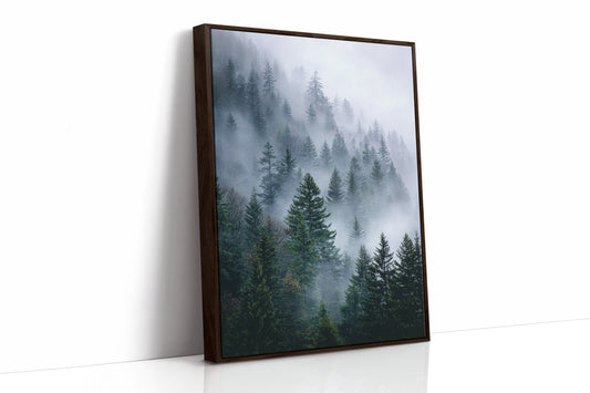 Veil of Mist Among Giants