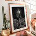 Moonlit Tales From Saguaro Heights