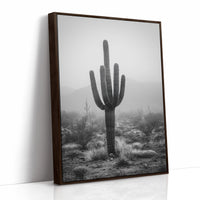 Cactus Standing Against The Mist